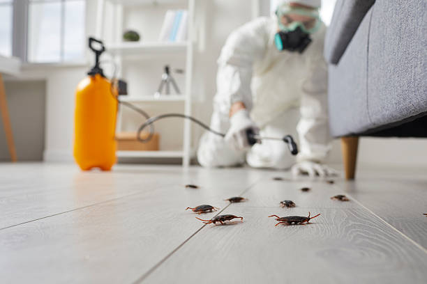 Commercial Kitchen Cockroach Control in Kenai